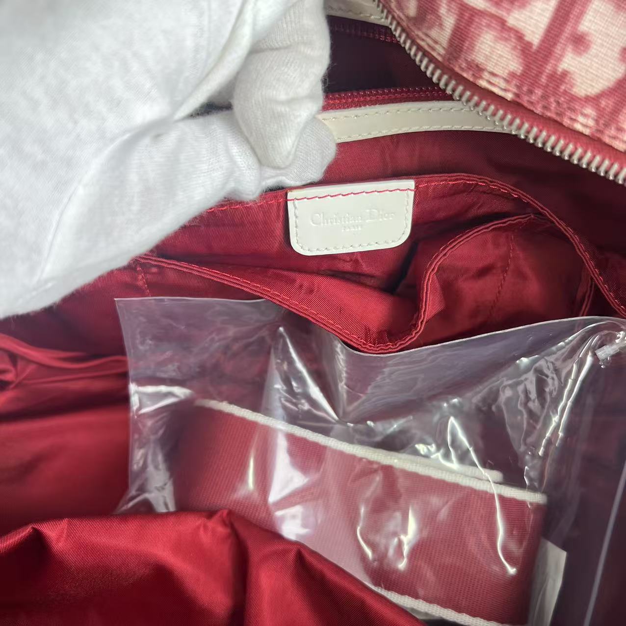 Dior Trotter crossbody Vintage bag